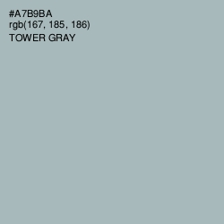 #A7B9BA - Tower Gray Color Image